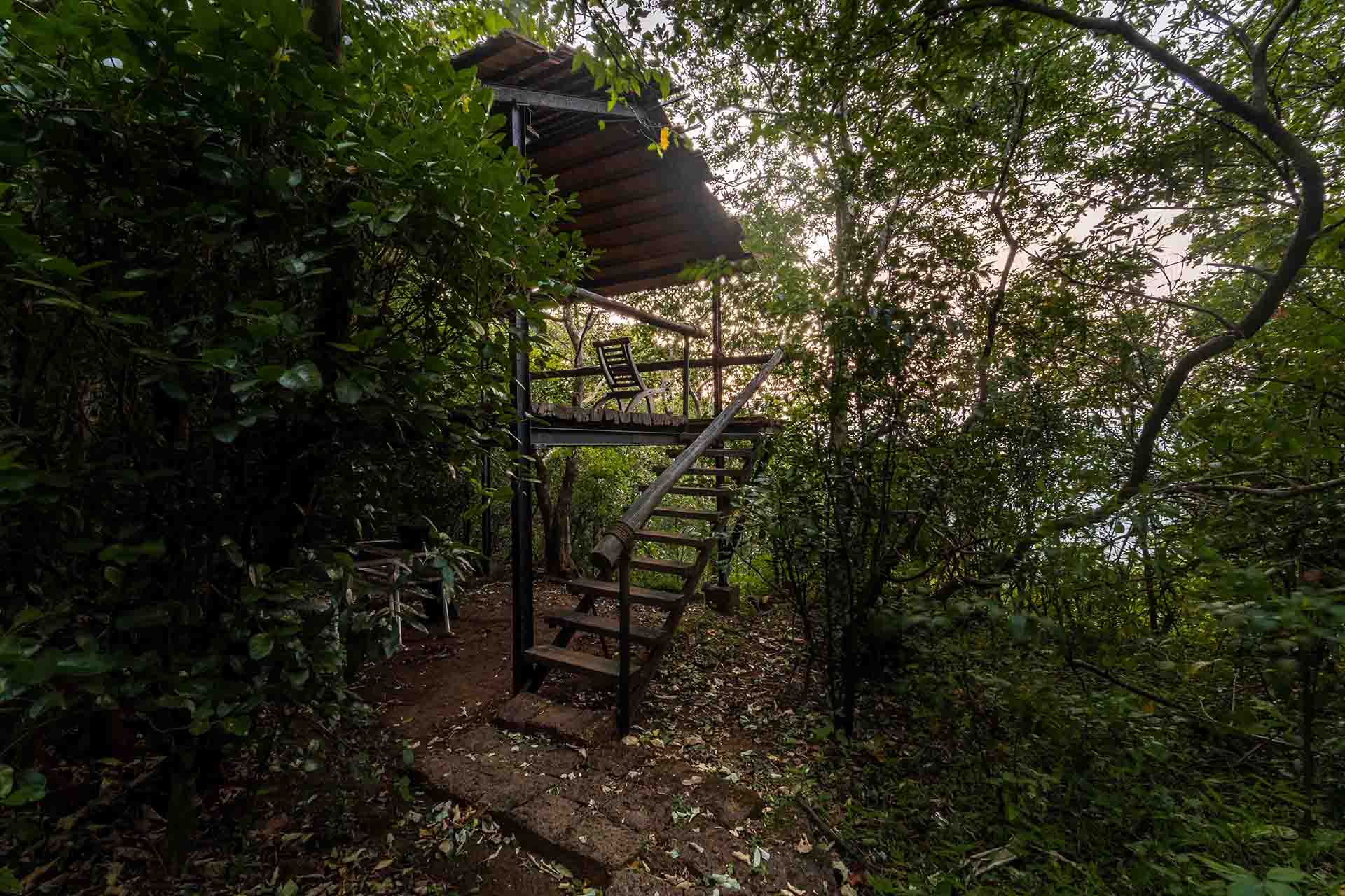 birdwatching hideout